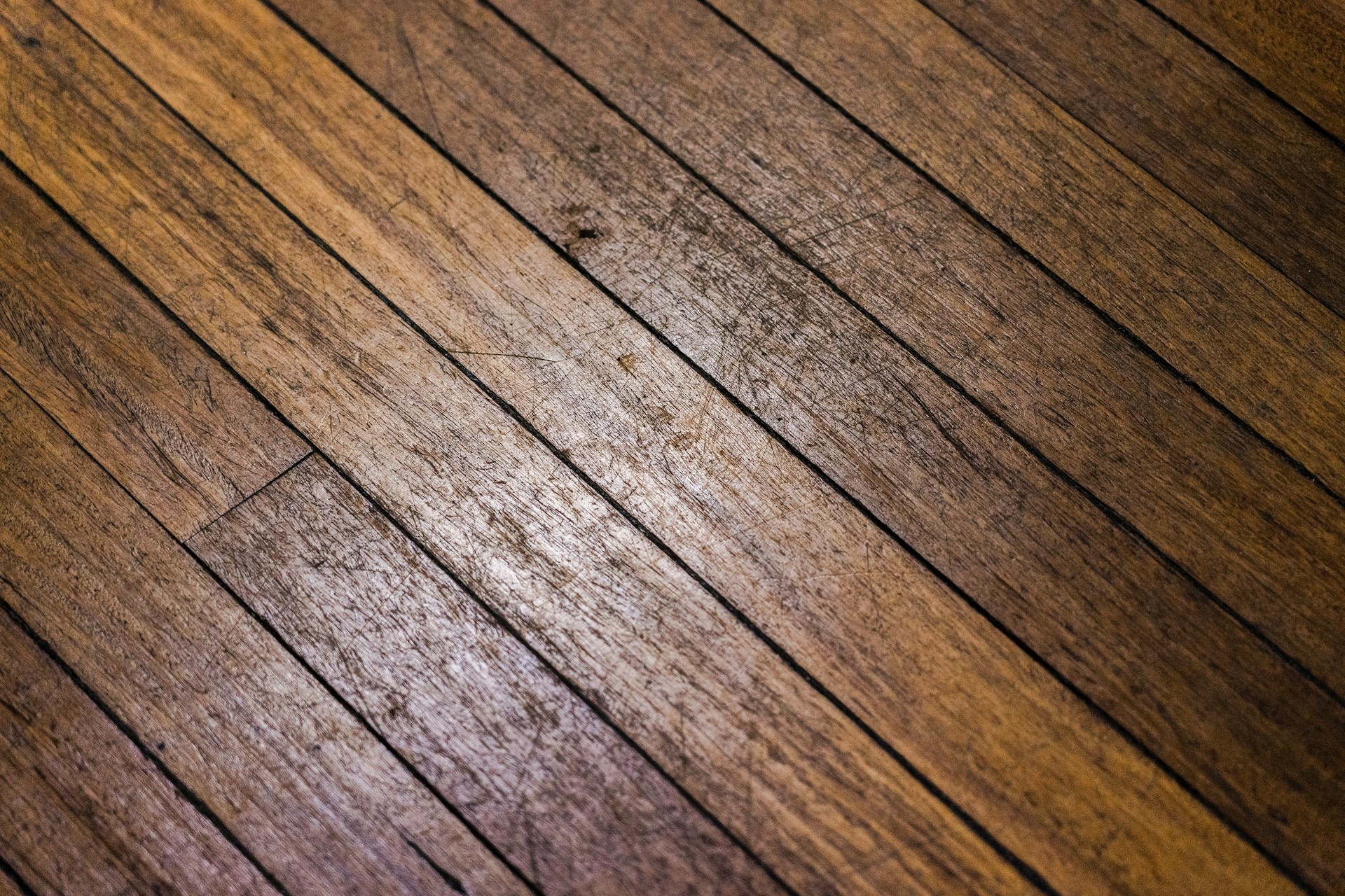 roland kay smith dqljtyfalvy unsplash
